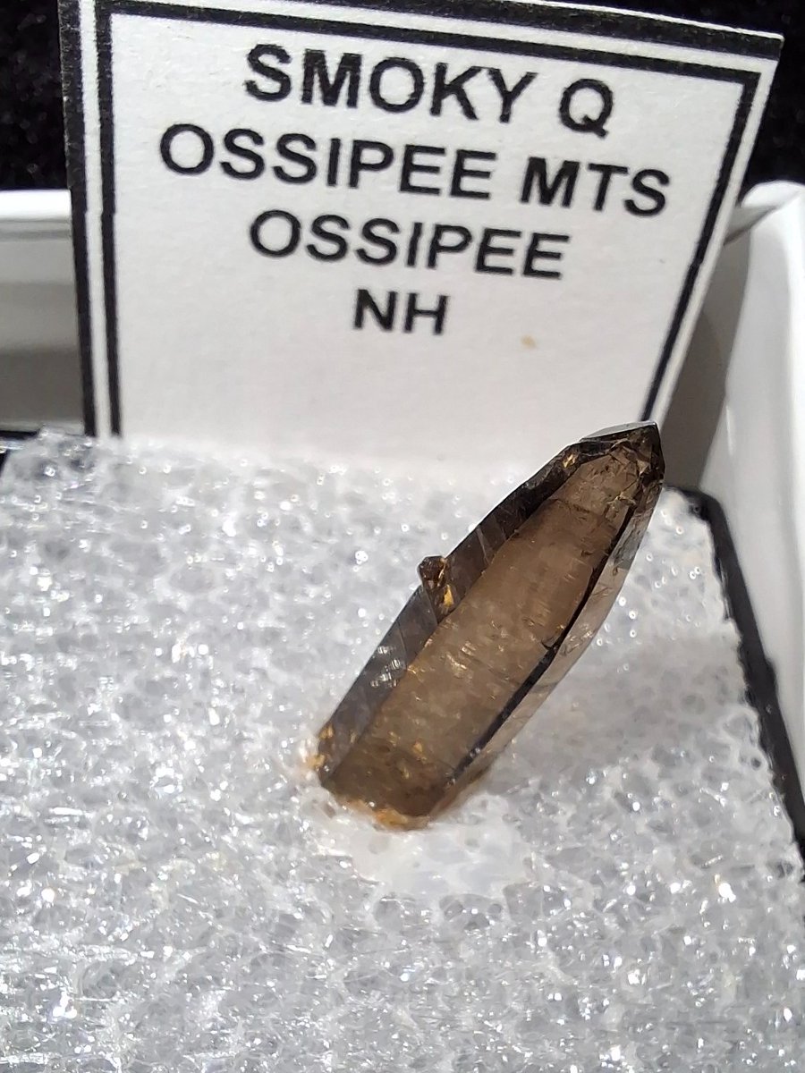 DugDiggs's tweet photo. Smoky Quartz from Ossipee Mts, NH! Beautiful dark crystal with a smoky hue, perfect for collectors. 💎 #SmokyQuartz #OssipeeMts #NHRocks #RockHound #GrokAndRockBuddy #GemstoneLovers #CrystalHealing #RockCollecting #MineralMagic https://t.co/ZGP035Myxr