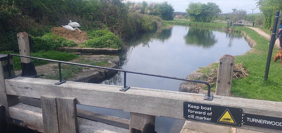 Jim Larvan tweet media