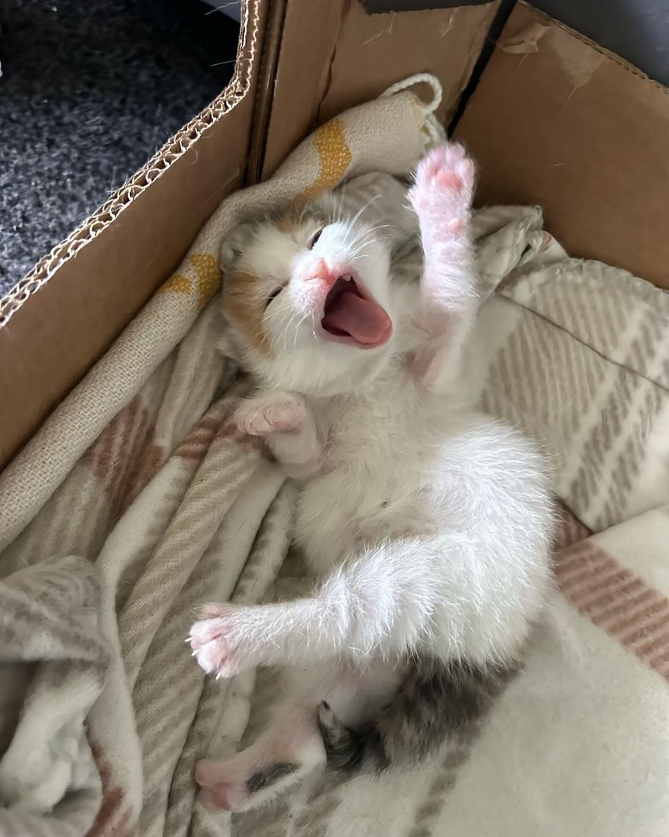 Baby ready for the day!