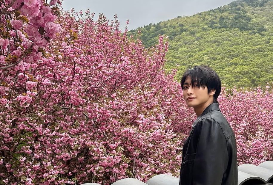 randomr22's tweet photo. ･ ｡ 
🌸∴｡　*
     ･ﾟ *｡🌸･
  🌸       ･ *ﾟ｡　　 
 ･ ﾟ *｡･ﾟ🌸｡   
🌸･｡🌸°*.  ﾟ
*　ﾟ｡·*･｡ ﾟ*
ﾟ             *.｡🌸｡　
      * 🌸 ｡･ﾟ*.｡
            *      🌸 ･ﾟ ｡* ｡
                         ･　　ﾟ🌸 ｡ https://t.co/XHZqCbCqmX