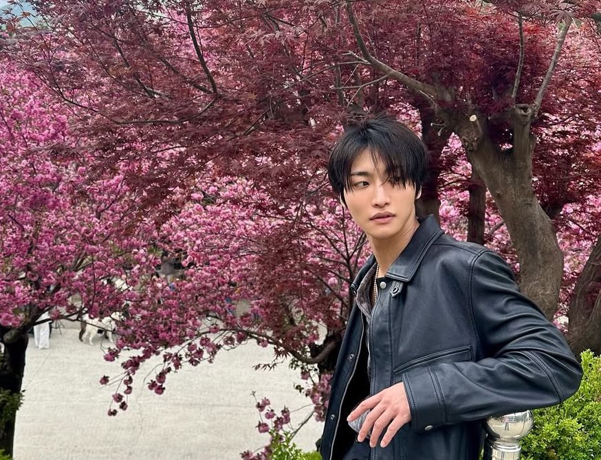 randomr22's tweet photo. ･ ｡ 
🌸∴｡　*
     ･ﾟ *｡🌸･
  🌸       ･ *ﾟ｡　　 
 ･ ﾟ *｡･ﾟ🌸｡   
🌸･｡🌸°*.  ﾟ
*　ﾟ｡·*･｡ ﾟ*
ﾟ             *.｡🌸｡　
      * 🌸 ｡･ﾟ*.｡
            *      🌸 ･ﾟ ｡* ｡
                         ･　　ﾟ🌸 ｡ https://t.co/XHZqCbCqmX