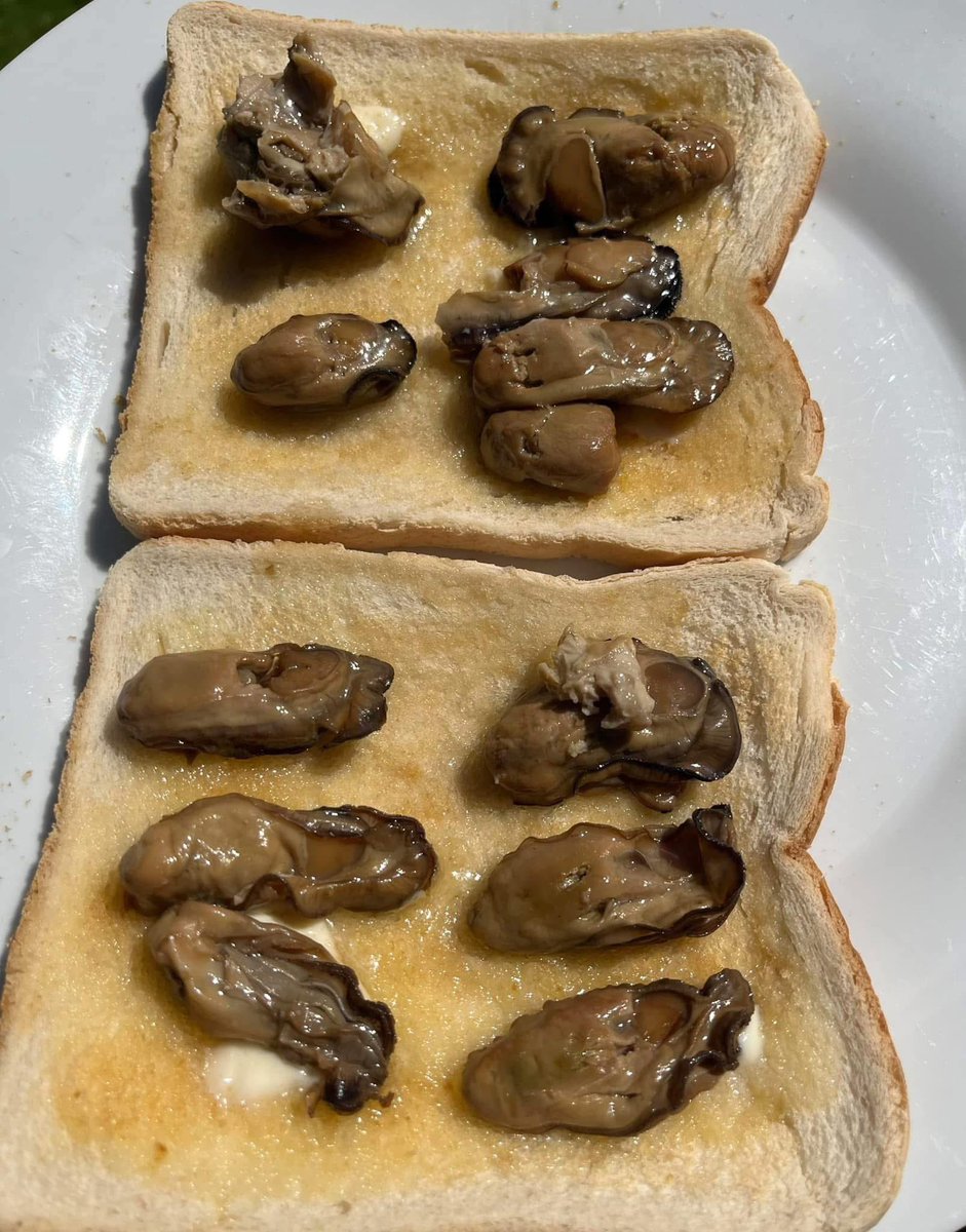 Rate My Plate 🍽️ tweet media