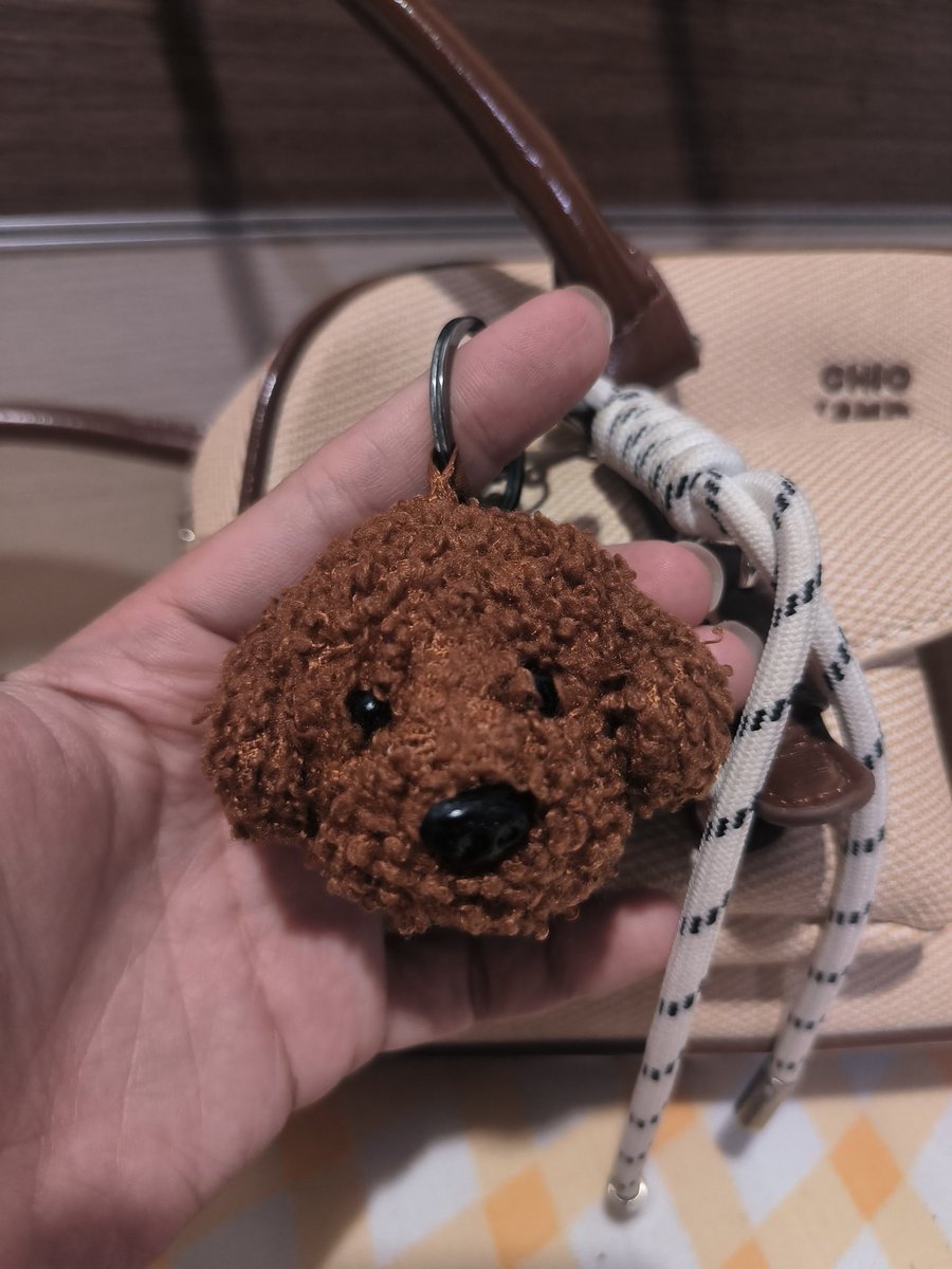 Moohanzuzu's tweet photo. 👜กระเป๋าที่รู้สึกคุณภาพดีเกินราคา✨
💸4 แบงค์แดงมีทอน
https://t.co/fnIiF0d2lP

#ช้อปปี้แฟชั่น #โตโน่ #ณิชา #ณิชาโตโน่ #โหนกระแส https://t.co/QMmj5jdZDu