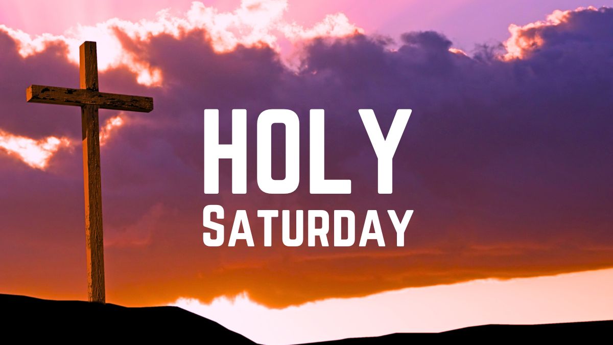 Solex_Tech👨🏾💻 tweet media