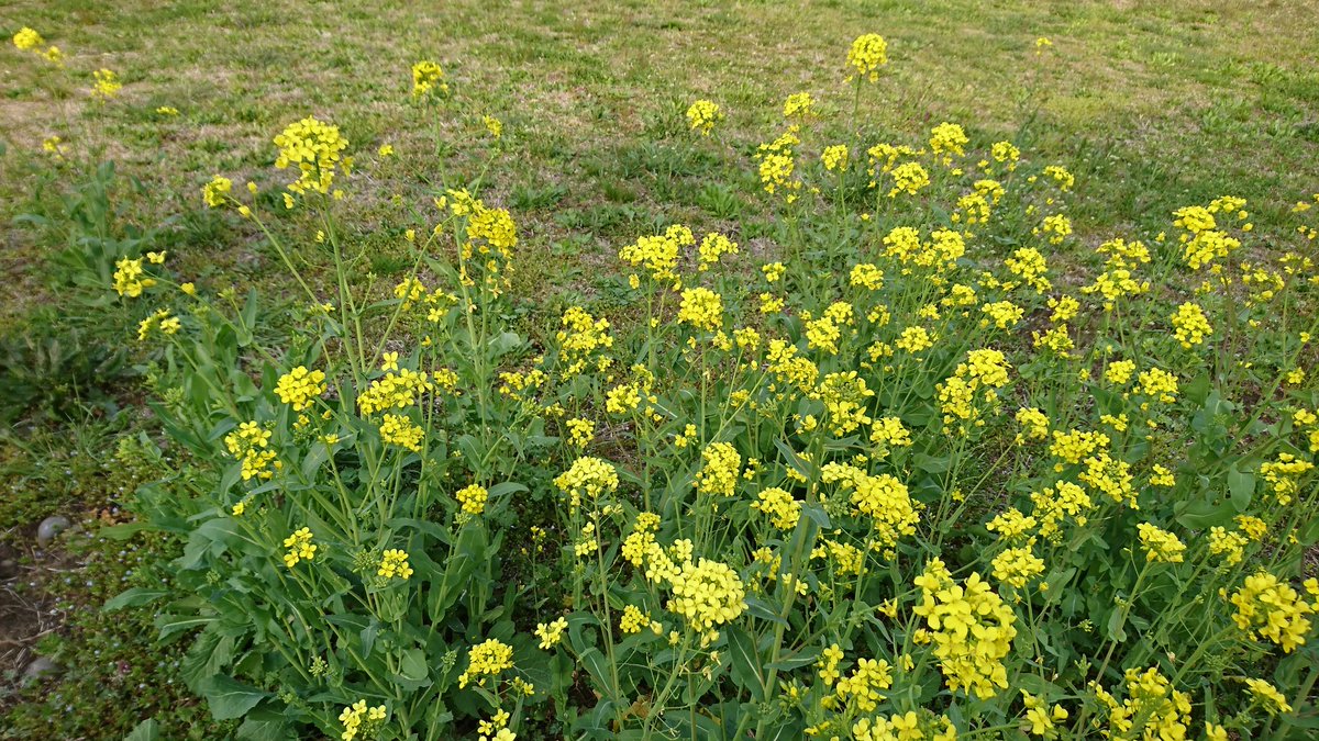 kamiogawa_c's tweet photo. お陰様で上小川キャンプ場は開設60周年を迎えております。日々の感謝を簡単ではございますが心より申し上げます。皆様には大変お世話になりました。本当にありがとうございます。感謝とともに今後ともよろしくお願いします。 https://t.co/wDgZLJl31b