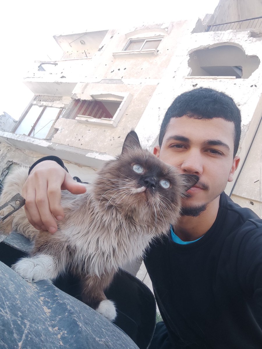 Osama_Gazaa's tweet photo. Good morning we are still alive ❤️. https://t.co/gEEllI1UYW