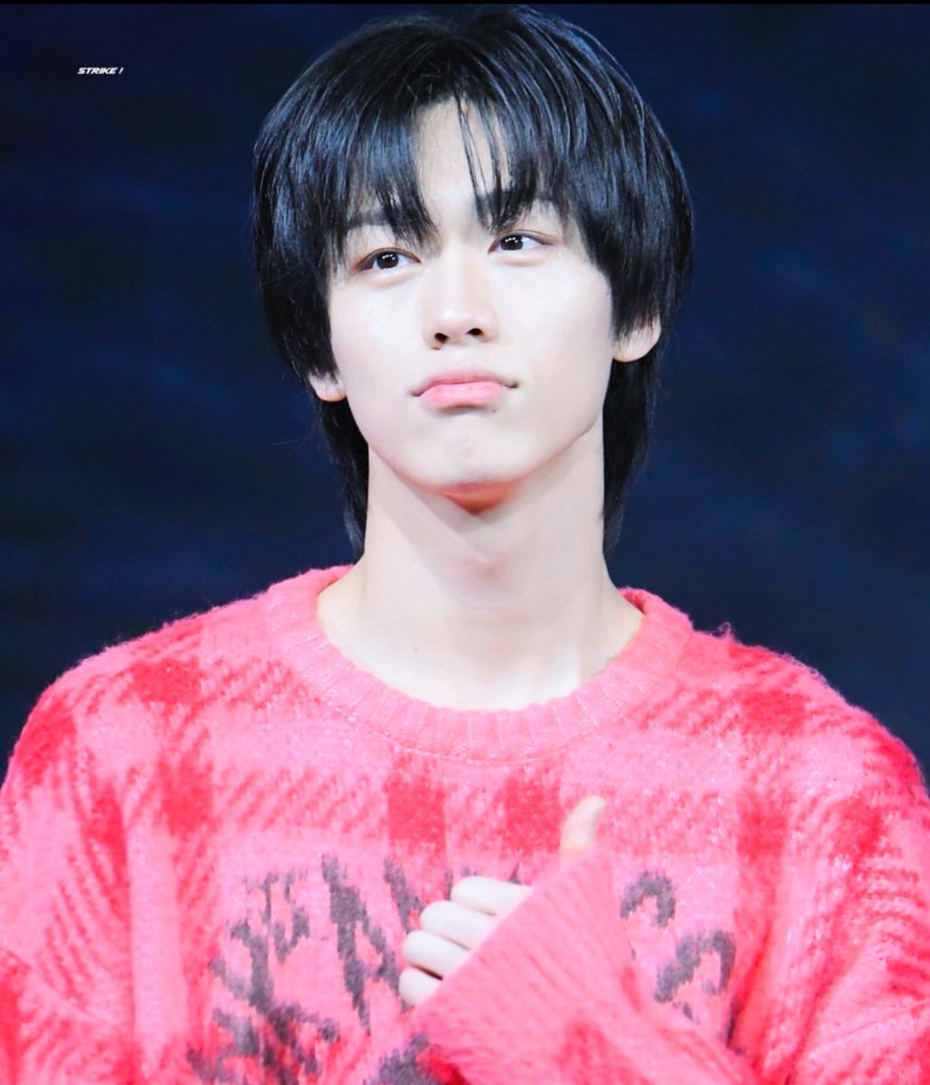 햄스터타이쿤 tweet media