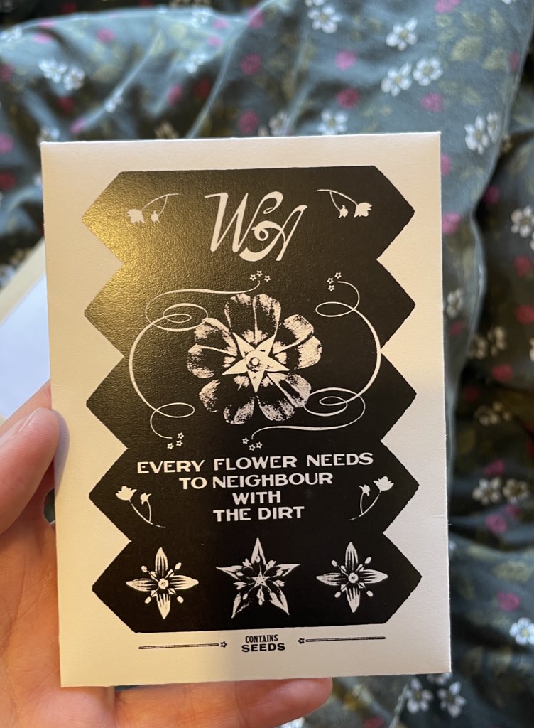 ella ⚢ tweet media