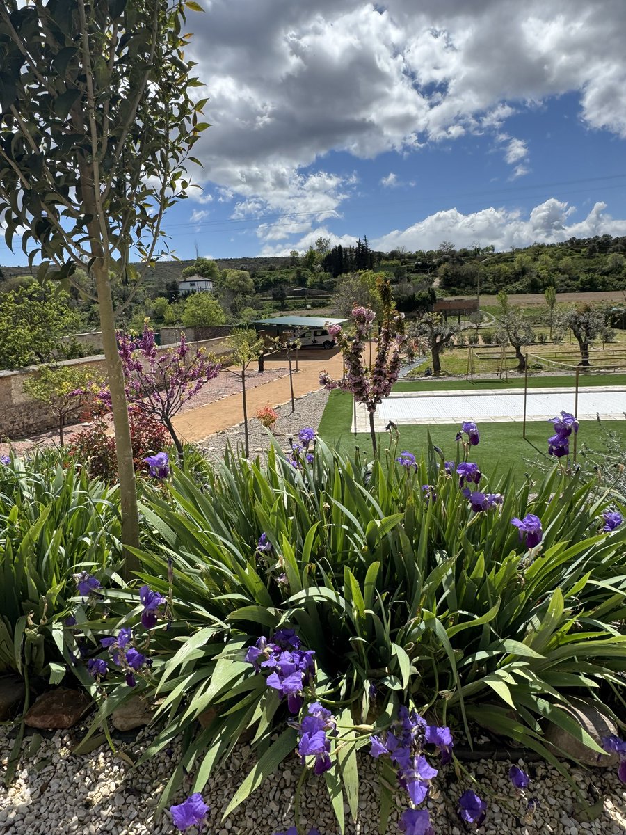 CastilloBul's tweet photo. Primavera en el Castillo https://t.co/1oJOUddmWN