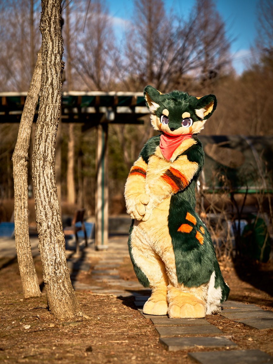 関西けもケ着ぐるみ参加枠いただけました!
構ってやってもらえるとうれしいです✨