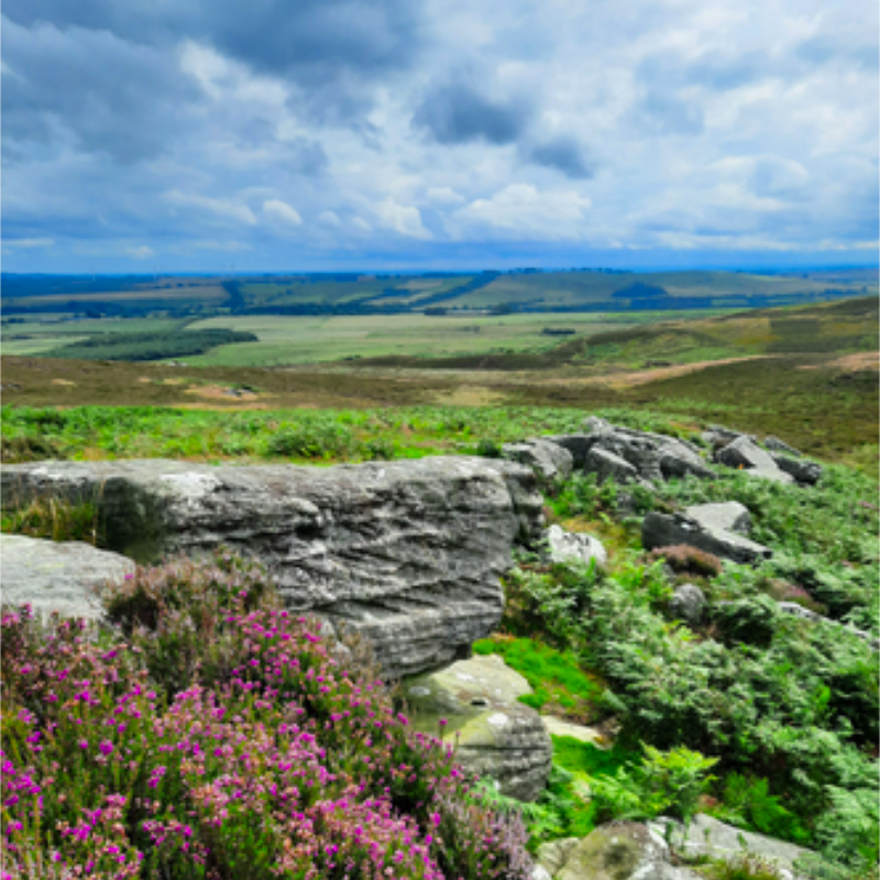 🌱💚 The Big Give is coming next week!

We’re getting ready to launch a campaign to help secure Rothbury’s nature for the nation – and your support could go twice as far!

Find out what it’s all about and how you can get involved in our latest article: 👉 nwt.org.uk/news/help-secu…