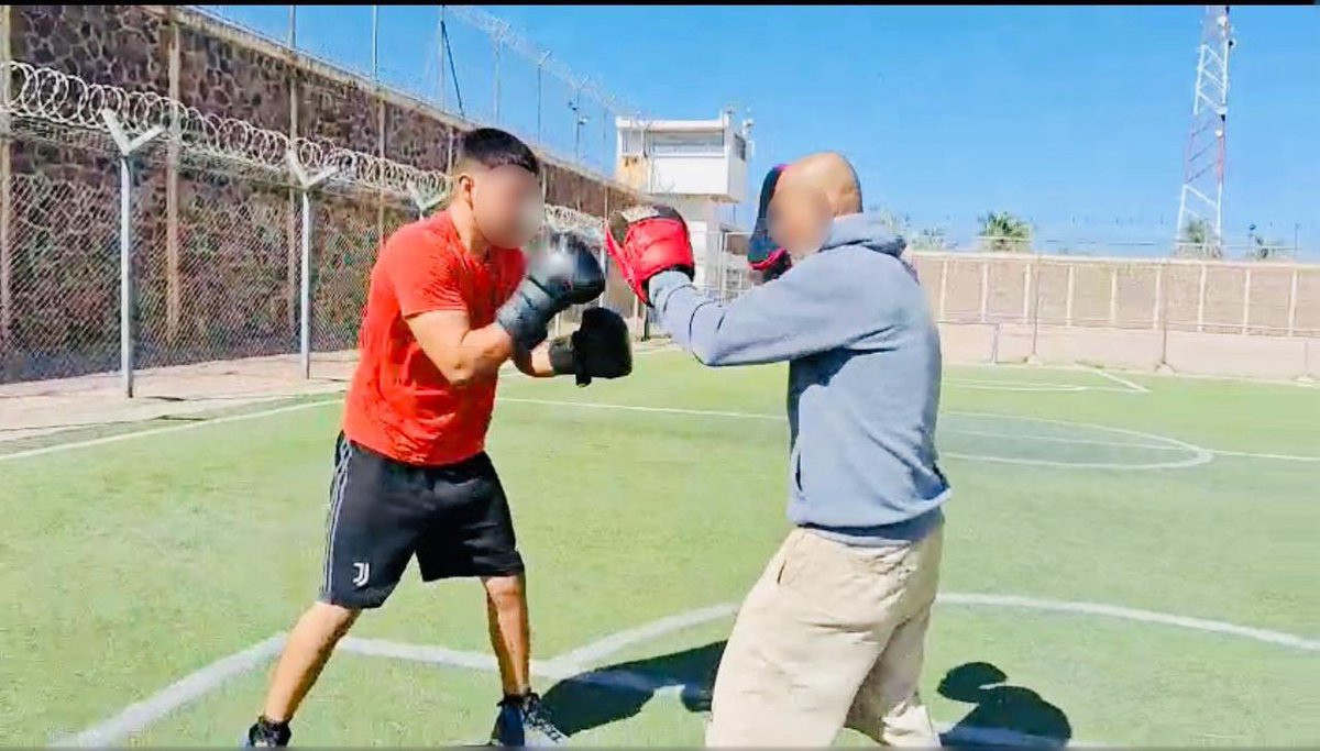 No es un dato menor. 🥊 Que internos e internas de 29 sistemas estatales y un centro federal hayan entrenado con disciplina durante semanas y alzado los puños como símbolo de comunidad y esperanza ✊ nos recuerda que la #reinserciónsocial no es una utopía, sino una tarea posible