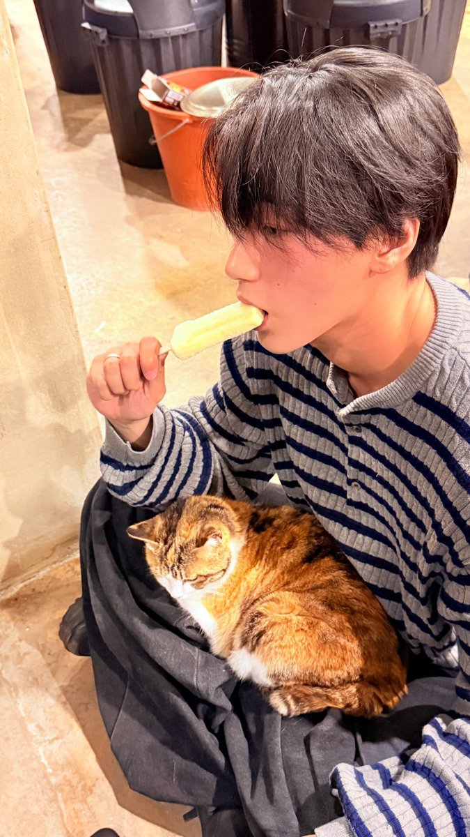 [📷] #CHOISAN instagram story