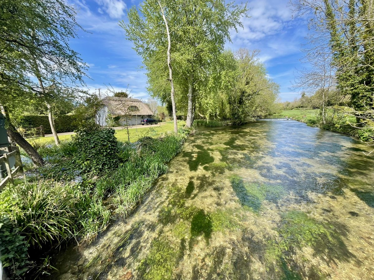 A few hours rambling around Hampshire’s hill-forts, chalk streams and riotous blossom trees 🌸 before cooling my boots over lunch &amp; a cheeky 1/2 🍺 at the thatched loveliness that is the Crook &amp; Shears, Upper Clatford.