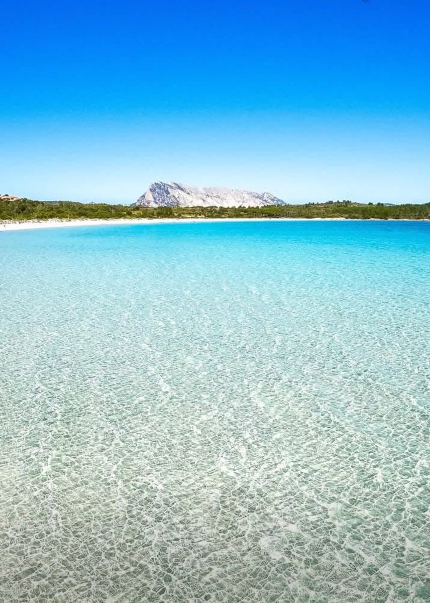 Buona pasqua a tutti vi voglio bene 🤗🤗🤗🤗🤗