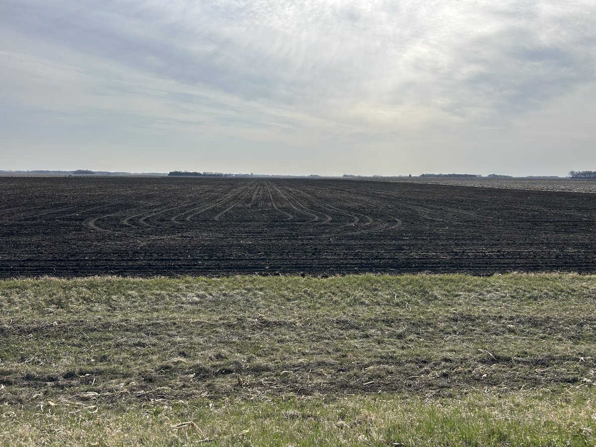 Luke Christensen (@christensenluke) on Twitter photo Excited to get the first look at NK0252 on the home farm after some awesome plot results in 2024! In the ground for an early start in southern MN this year. #NKSeeds #52 <a href="/chadgreenway52/">Chad Greenway</a> Excited to get the first look at NK0252 on the home farm after some awesome plot results in 2024! In the ground for an early start in southern MN this year. #NKSeeds #52 <a href="/chadgreenway52/">Chad Greenway</a>