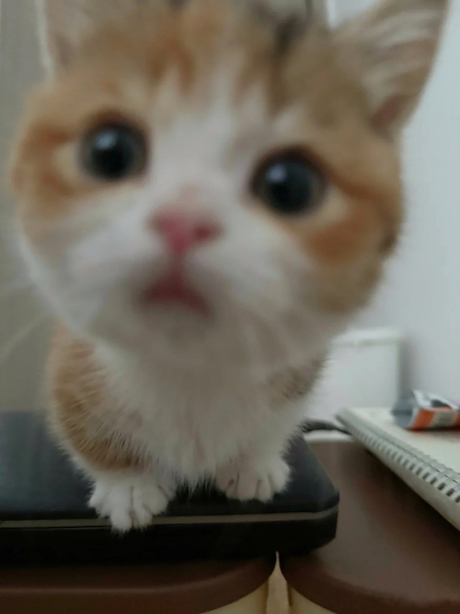 😙