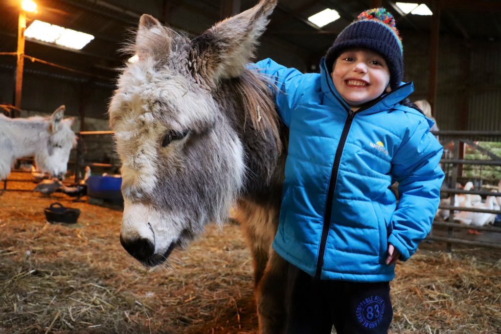 Farmily_buckets's tweet photo. We’ve got a Birthday donkey 🎉

We might have missed a few donkey Birthdays on here, sorry guys, but this one is special. She’s mine and Casey’s Muffin and she’s 4 today. 

Love the throwback with my little farmer. 

#caenhillcc #muffinthedonkey #donkey #birthdaygirl #ourdonkey https://t.co/qt0J0hRKwu