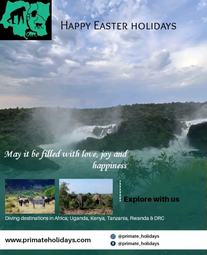 Happy Easter! May this season of renewal inspire fresh starts and bring happiness that lasts well beyond the holiday. Fantasize about how you would love to wander, travel or explore and we will get you covered..

#primateholidays #happyeaster #exploremore #travelwithus