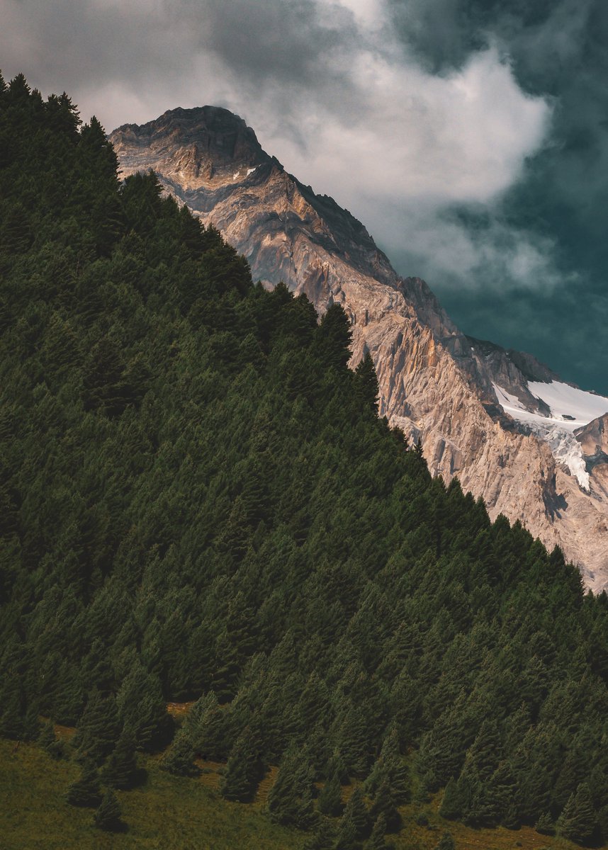 Mir Auqib tweet media