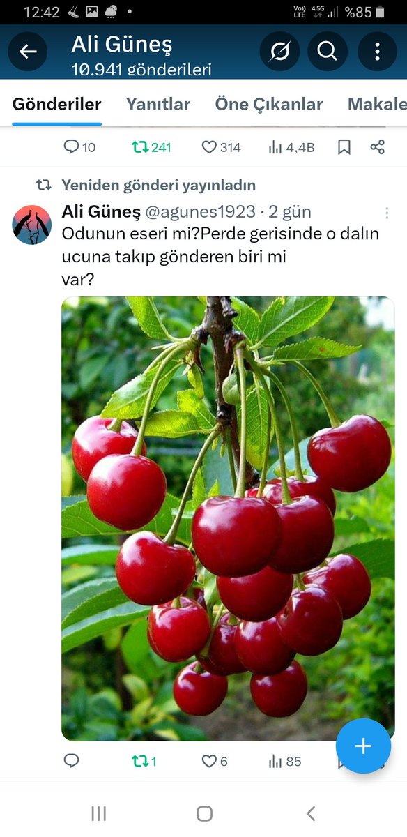 agunes1923's tweet photo. @Alisaid46658826 https://t.co/3d3YluC3t8