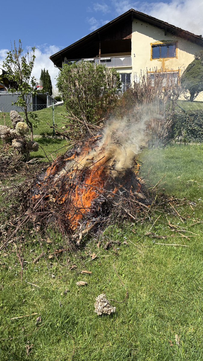 Thomy Goelles tweet media