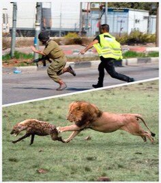 Ex_Catholique_'s tweet image. Si les israéliens arrêtent de combattre il y aura la Paix
Si les Palestiniens arrêtent de combattre il n’y aura plus de Palestine‼️
La résistance est un droit, une nécessité, un devoir, une légitime défense‼️
#ResistToExist
👊🏽🇵🇸✌🏽