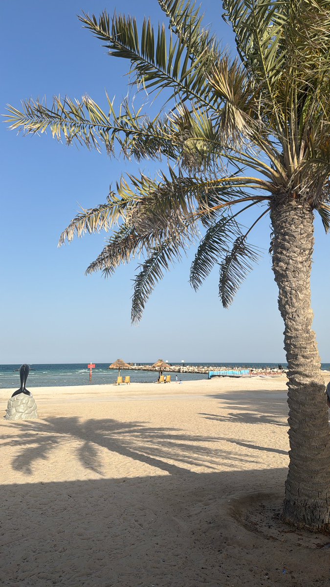 n96mmm's tweet photo. 🏝️ https://t.co/m0xl6q4har