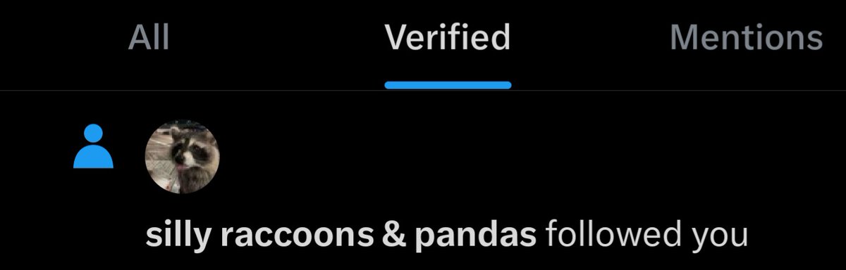silly raccoons & pandas tweet media