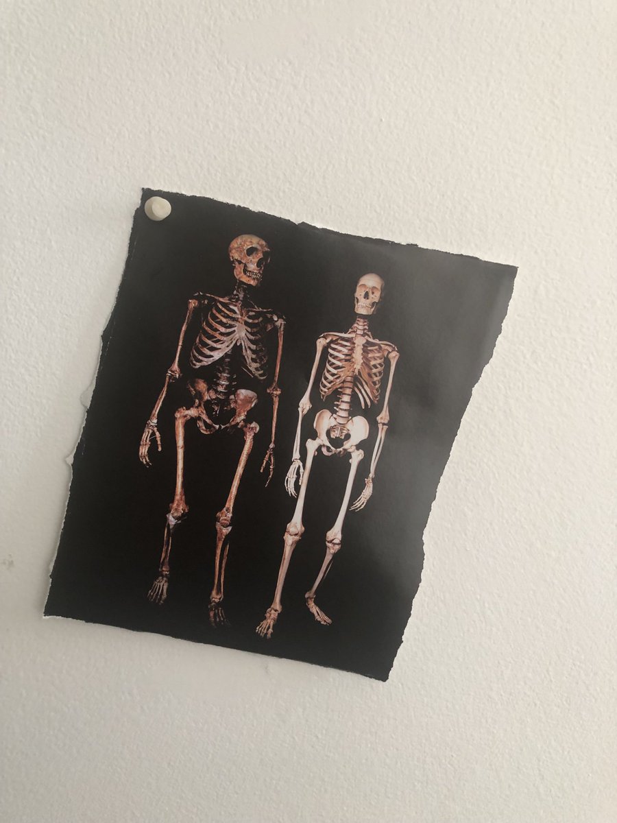 Marroquin_NFT's tweet image. Residents in (some) # ArtistStudios 👩‍🎨 in previous centuries Raul Marroquin 1997. #WallDisplay of Paper #TearOut 17 X 20 cm. Art Dubai 18 -20 April 2025