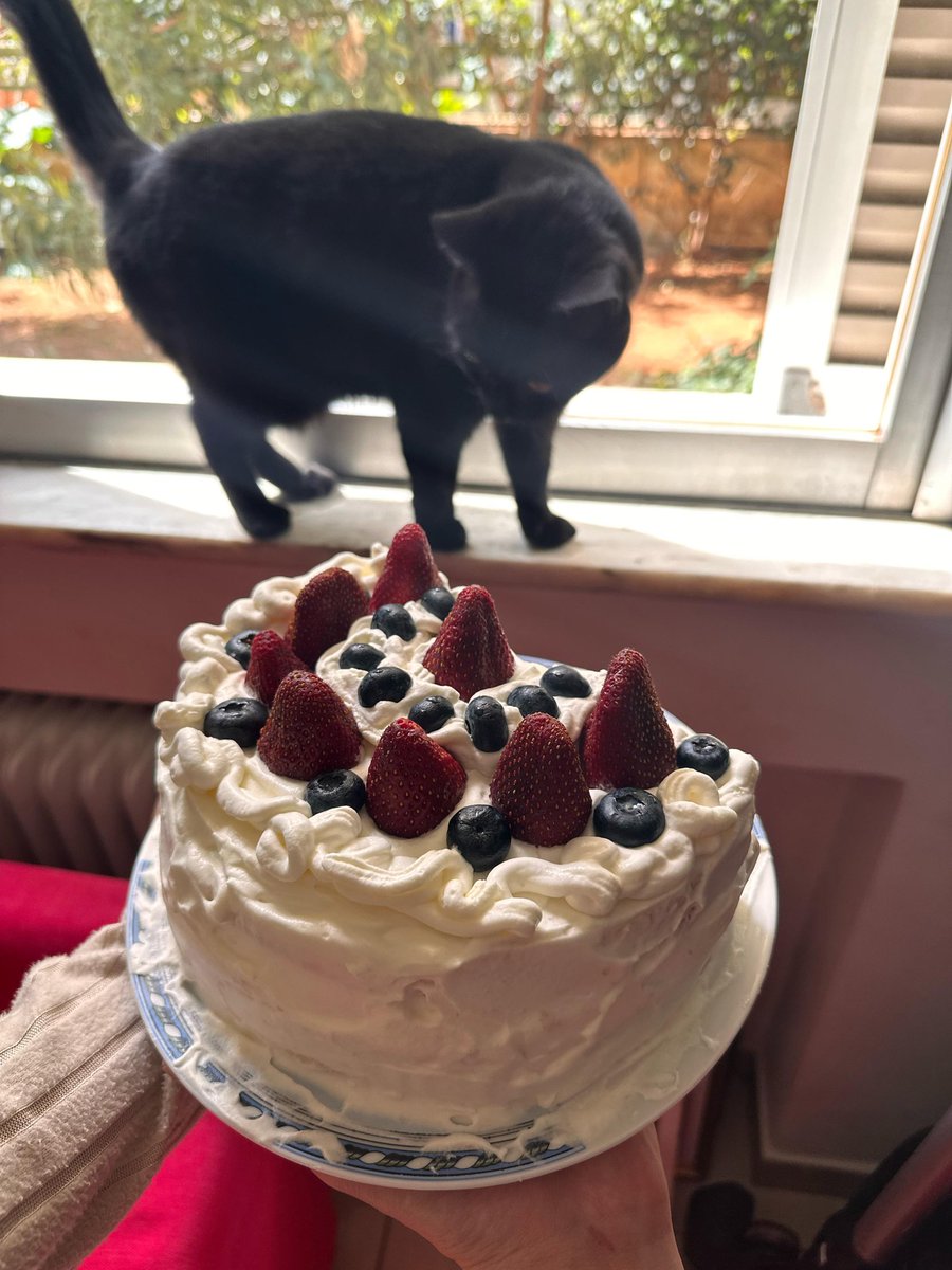 Back in Europe now, any ERL teams looking for a new approach to practice and looking for a coach or support my DMs are open!

Pic unrelated just sharing my strawberry shortcake