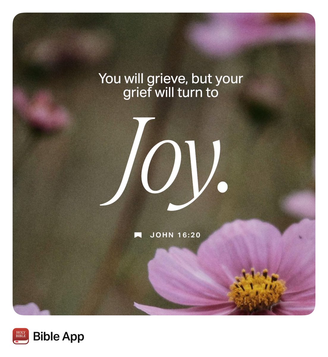 IdaCars80414761's tweet photo. #joycomethππ½ππ½ππ½π
#idacarsonministries https://t.co/JIII3p8mCu
