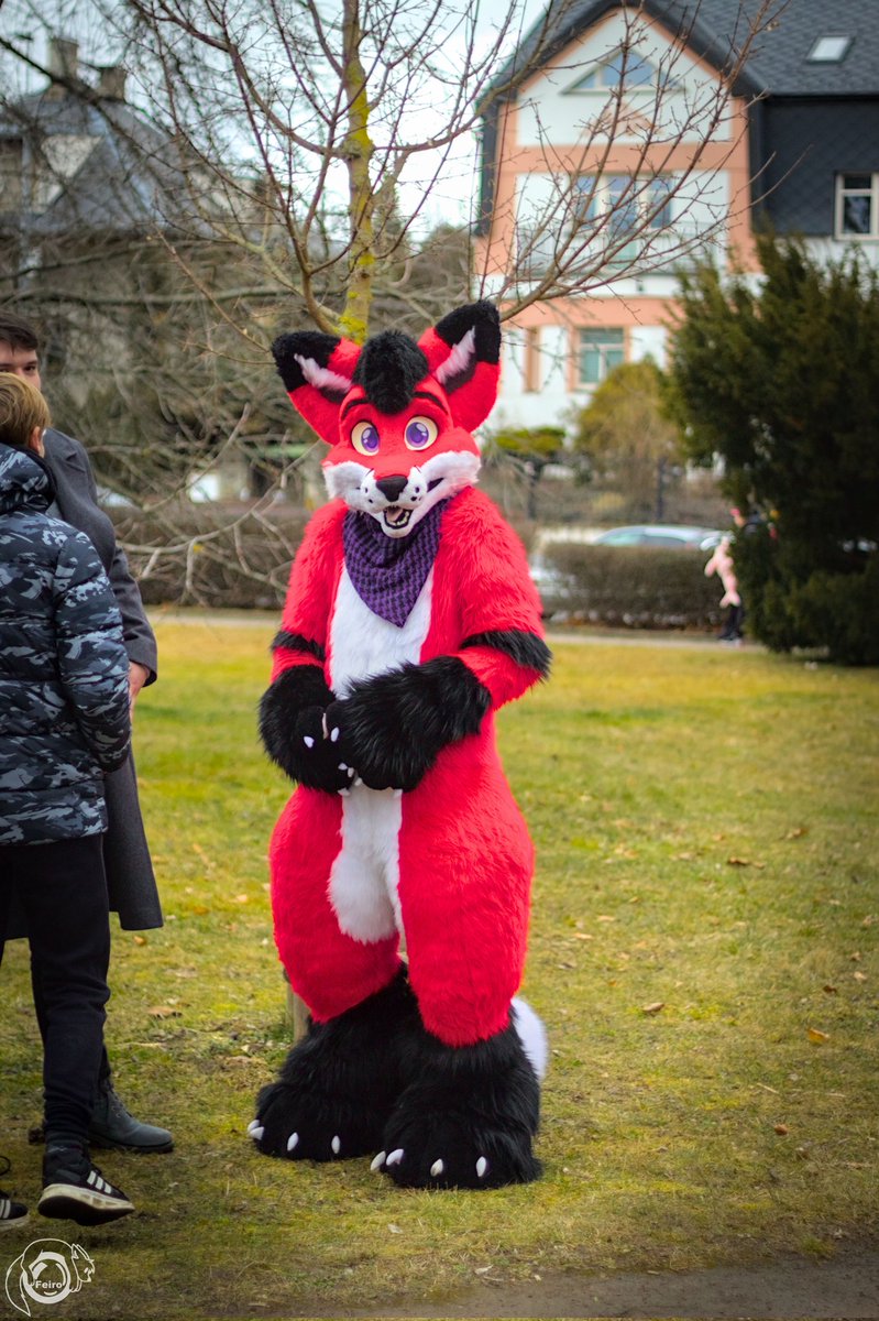 🦊👀
📷@feiro602