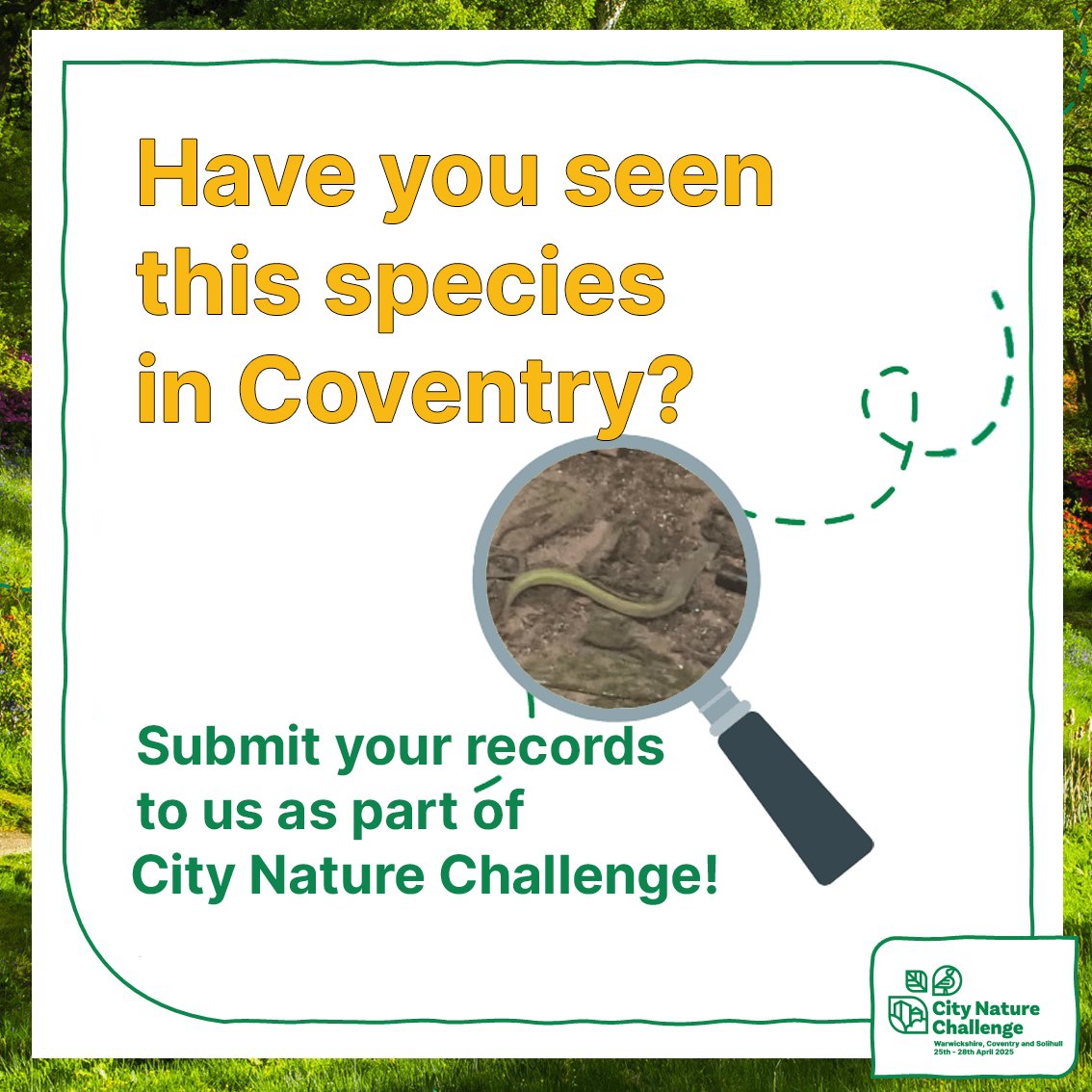 In September, a European Eel was spotted on the River Sherbourne, what rare species might you find? 🐟 Join the City Nature Challenge from 25–28th April and help record wildlife across Coventry, Warwickshire &amp; Solihull with the iNaturalist app. #CNC25 #covwarkscnc25