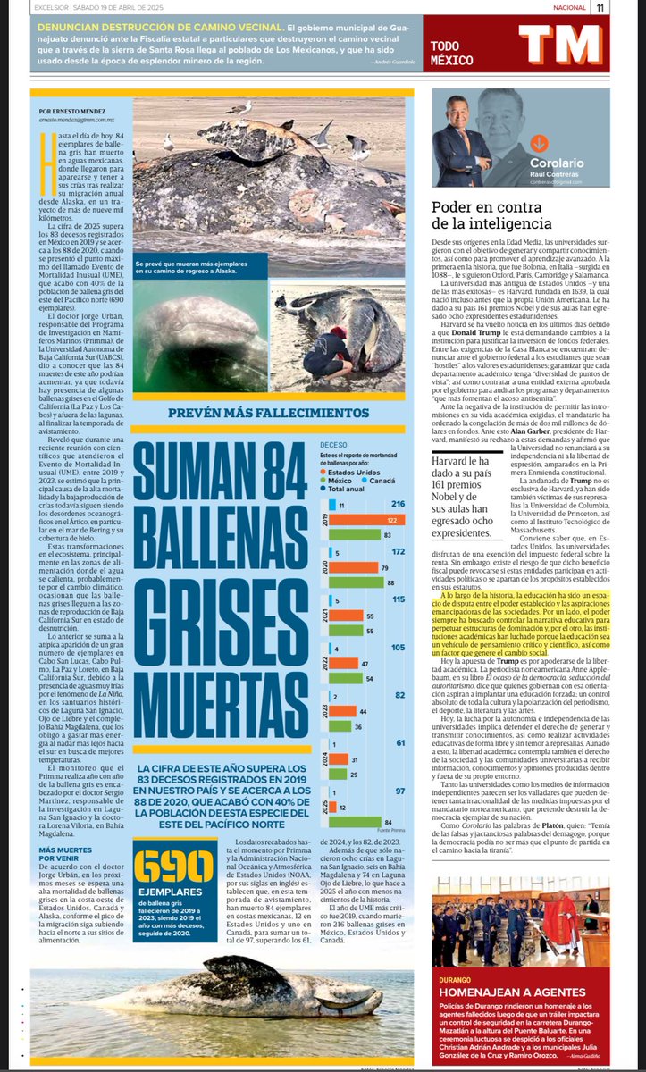 Suman 84 ballenas grises muertas 🐋 en México 🇲🇽 
2025: El año con menos nacimientos 
#CambioClimático #LaNiña 
Vía <a href="/Excelsior/">Excélsior</a> 
Fotos: <a href="/primma_uabcs/">Programa de Investigacion de Mamíferos Marinos</a> 
📰 excelsior.com.mx/nacional/alert…