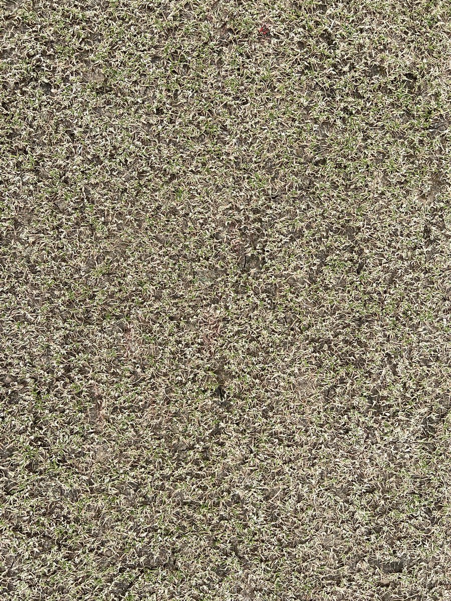 Karl McDermott tweet media