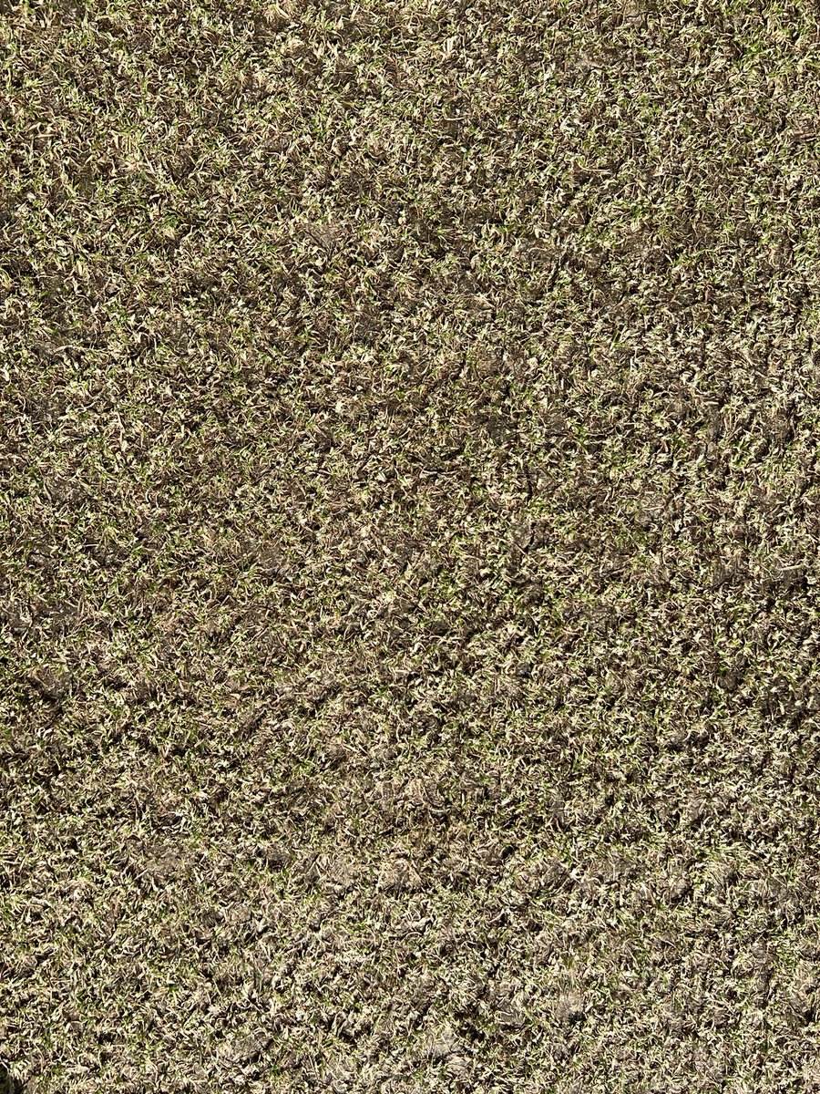 Karl McDermott tweet media