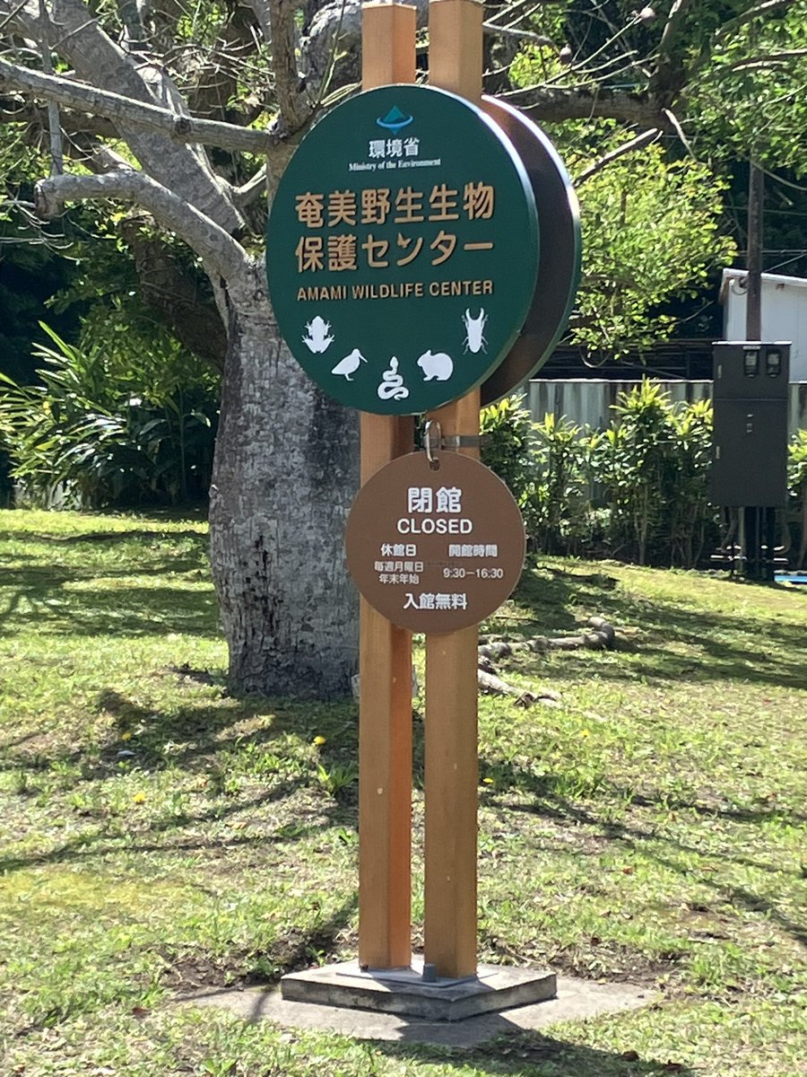 Itchy1024's tweet photo. 先週に南の島に着弾してました
そしてやっと釣りに行けた… https://t.co/0p5QbwMYF4