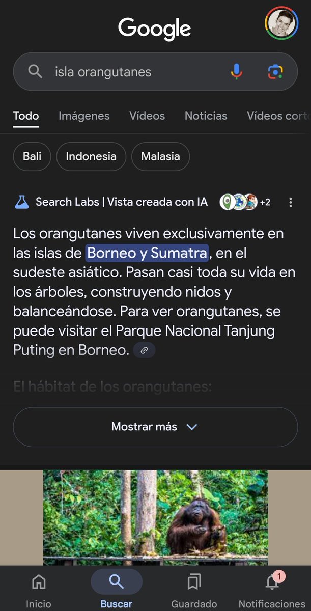 nicoseosem's tweet image. Before #AIOverview vs Now
Visibility 📉
So CTR
So 💸
😭