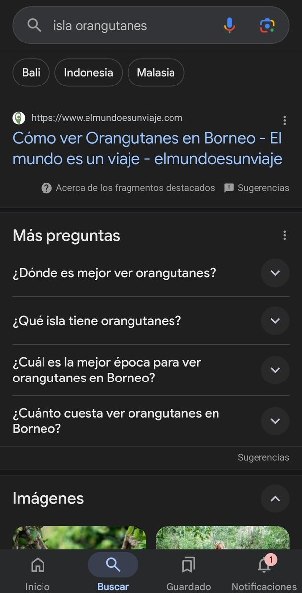 nicoseosem's tweet image. Before #AIOverview vs Now
Visibility 📉
So CTR
So 💸
😭