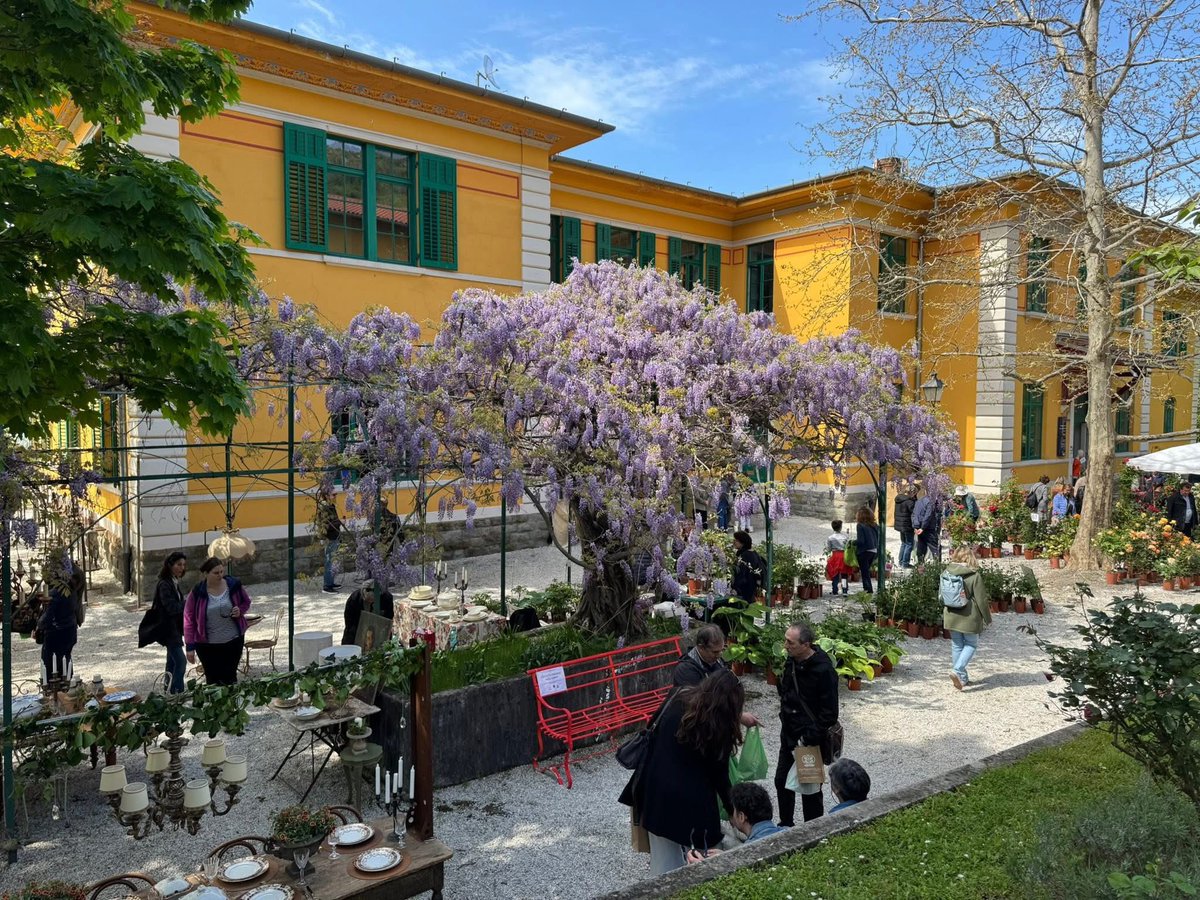 Discover Trieste tweet media