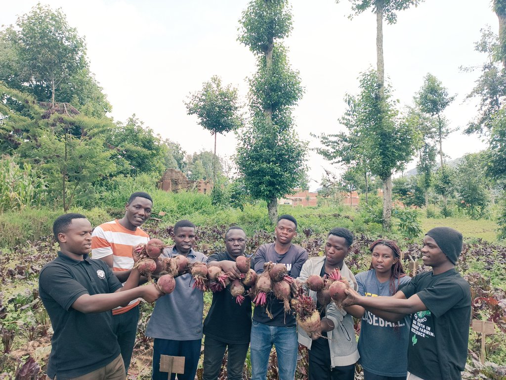 agriresearchclb's tweet image. Today marks the end of phase two of our research on evaluating the effects of different #mulching materials on the growth and yield of #beetroot. We're excited by the promising results, showing a strong correlation and the significance of using effective mulching #materials!