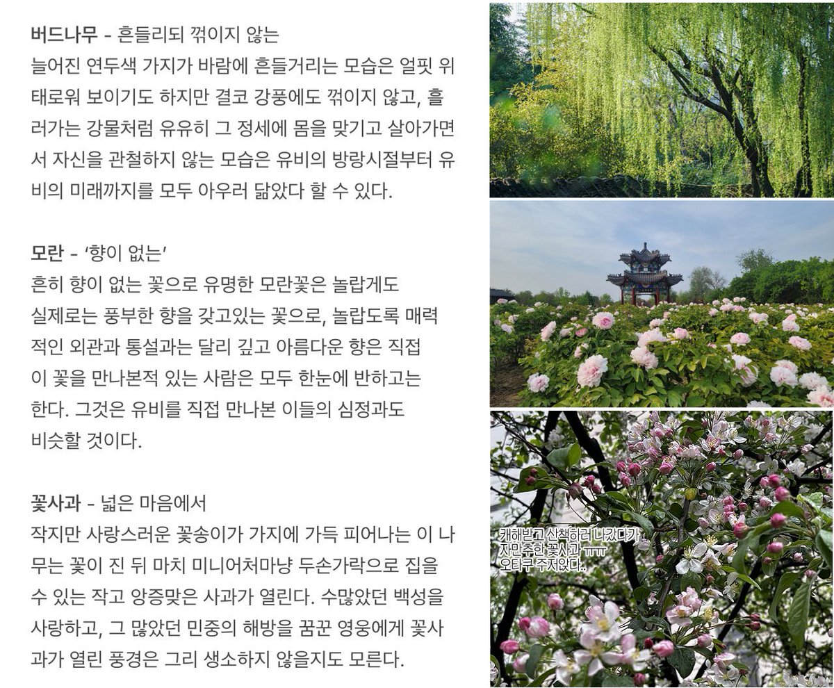 M12RY3's tweet photo. 유비로 부탁드렸듬..
여러가지로 너무찰떡이라 주저앉음..
#유례 

ⓒ오이꽃집님 커미션 https://t.co/BbqEEsdMvI