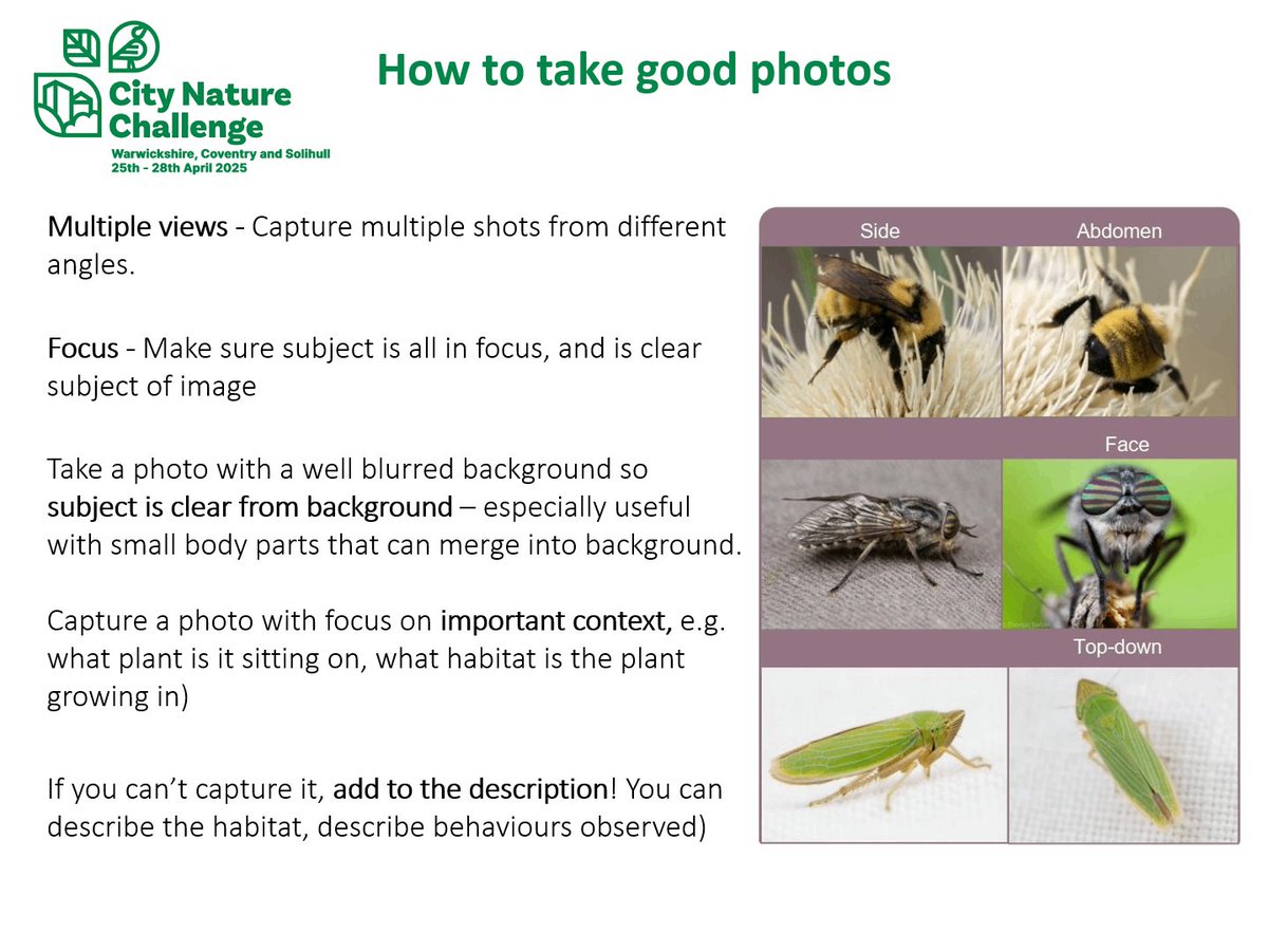 Taking part in City Nature Challenge? 📸 When recording wildlife, snap as many clear photos as you can from different angles—others will help with ID! Join our local events to get started. Let’s put Warwickshire, Coventry &amp; Solihull on the map from 25–28th April! #covwarkscnc25