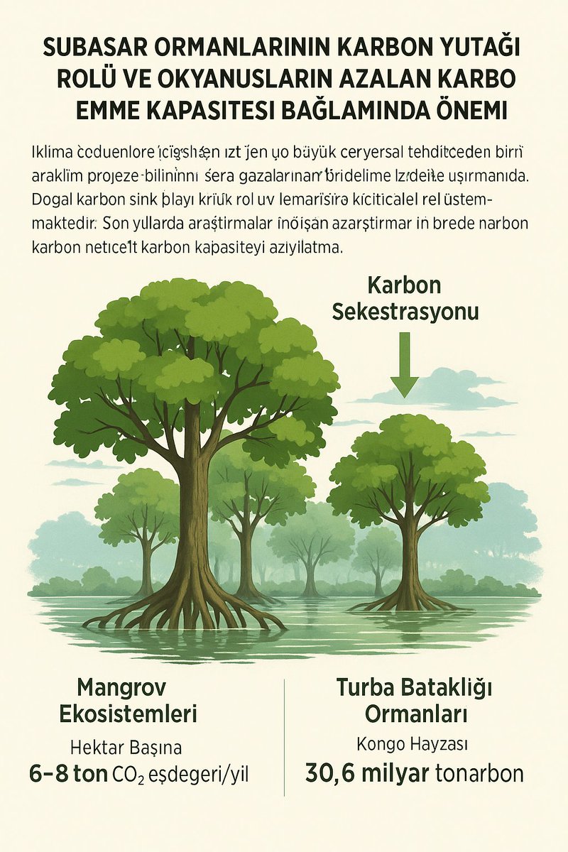 Cem Gazioğlu (@gazioglu_cem) on Twitter photo 