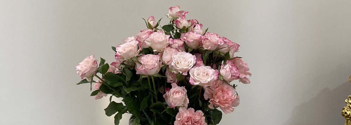 44ive's tweet image. 