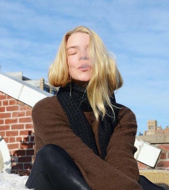 brooke ‧ 🌾 tweet media