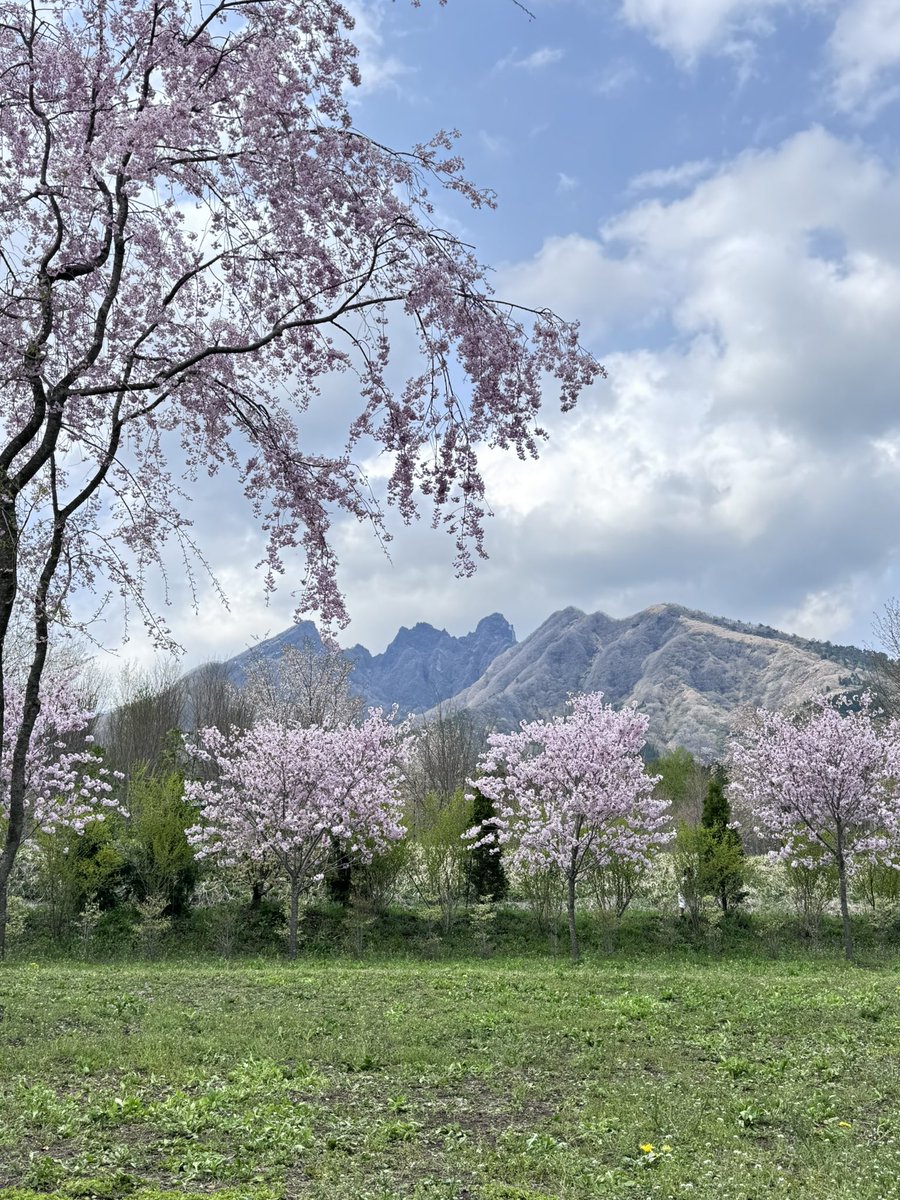 selfish_f's tweet image. 久しぶりに阿蘇登山⛰️
今日のベストショット📷
登山後アソブルの隠れサクラミチより
#阿蘇
#アソブル
#隠れサクラミチ