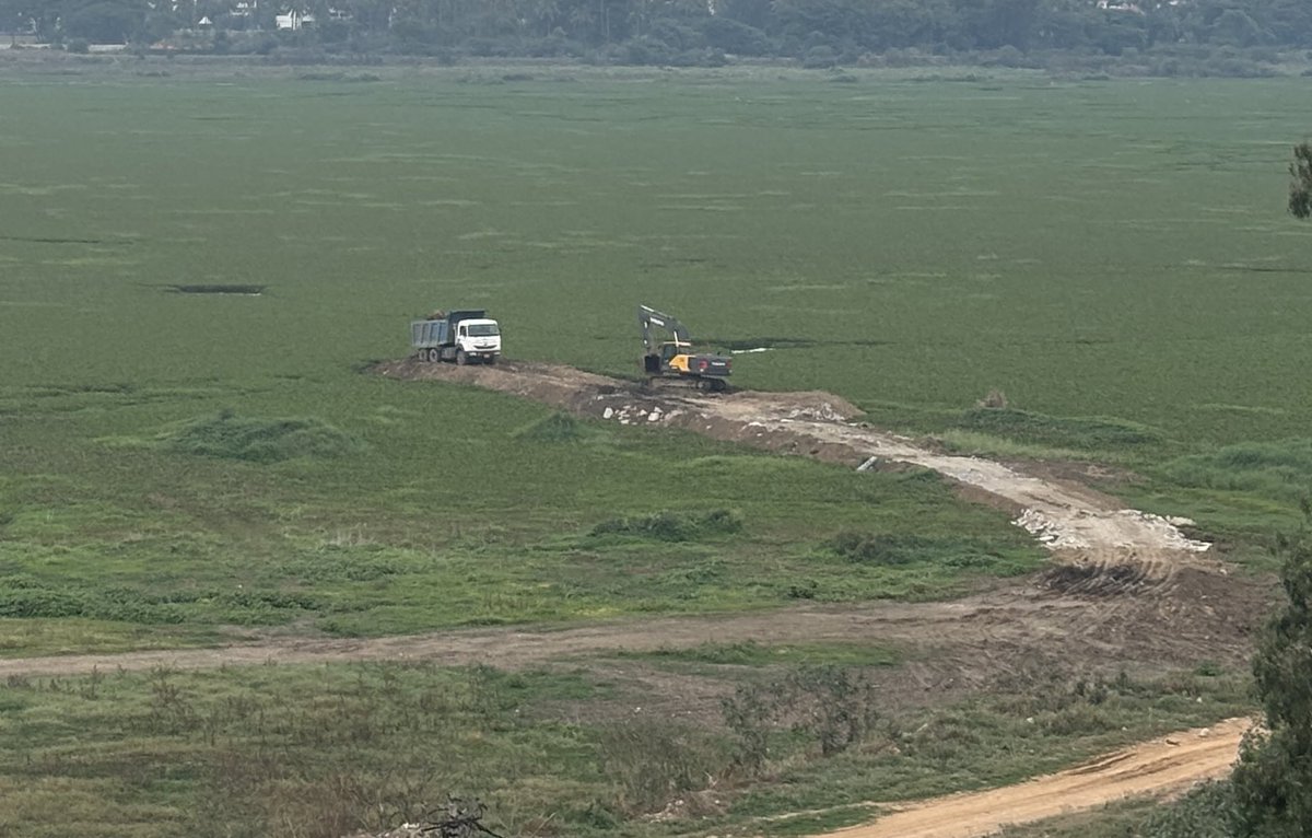 Bellandur Lake is dying in plain sight. Instead of cleaning it, dirt is being dumped to make roads over it? @BBMPCOMM <a href="/CMofKarnataka/">CM of Karnataka</a> — this is environmental abuse, not development. Bengaluru deserves better. Wake up before it’s too late. #SaveBellandurLake #Bengaluru