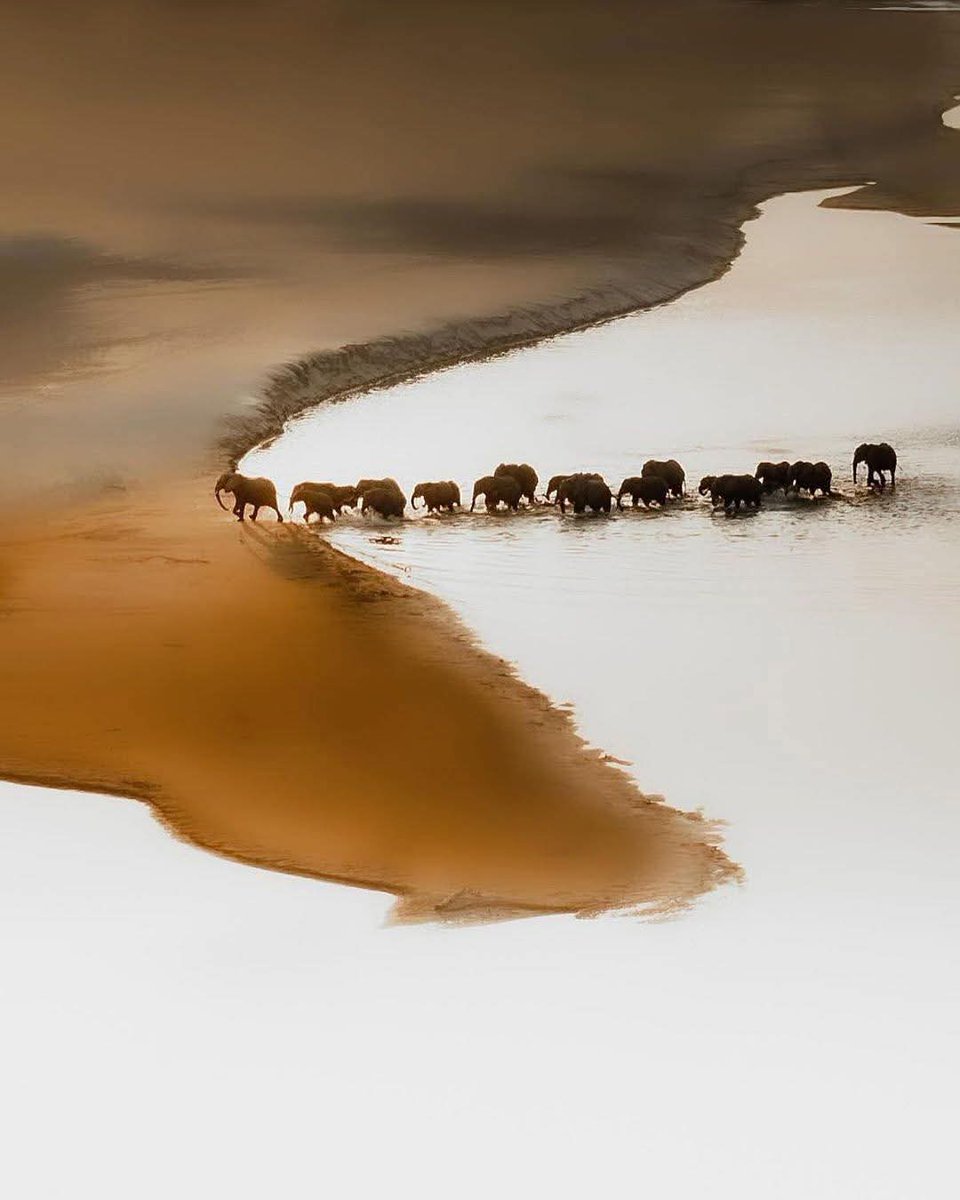 River Crossing in Namibia, Africa